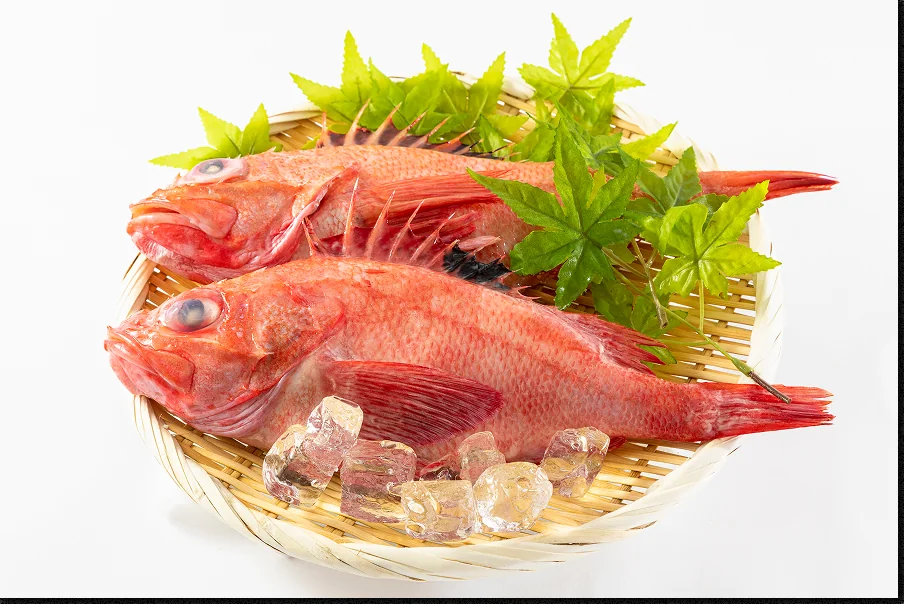 Frozen kinki rockfish