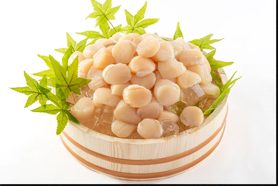 Frozen scallops