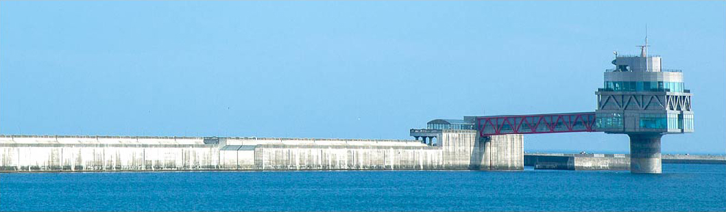 Marukaichi Suisan Inquiries