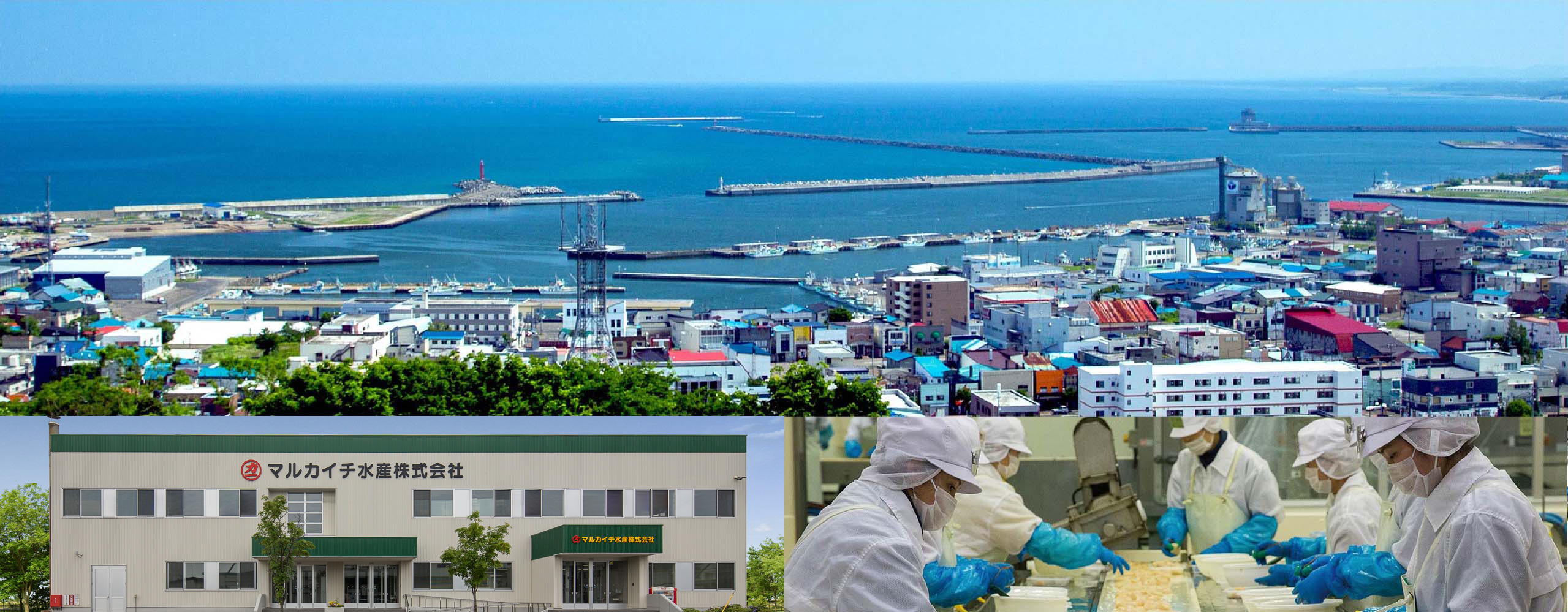 Marukaichi Suisan Corporate Information